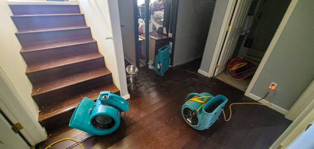 Best Flood damage cleanup  in Forest, MS