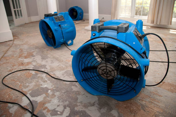 Best Emergency water damage restoration  in Forest, MS