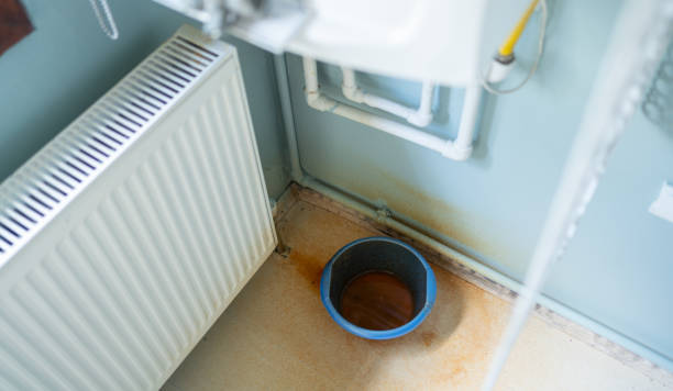 Best Mold removal after water damage  in Forest, MS
