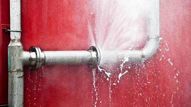 Best Carpet water damage restoration  in Forest, MS