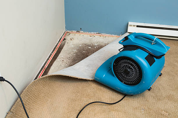 Carpet water damage restoration in Forest, MS